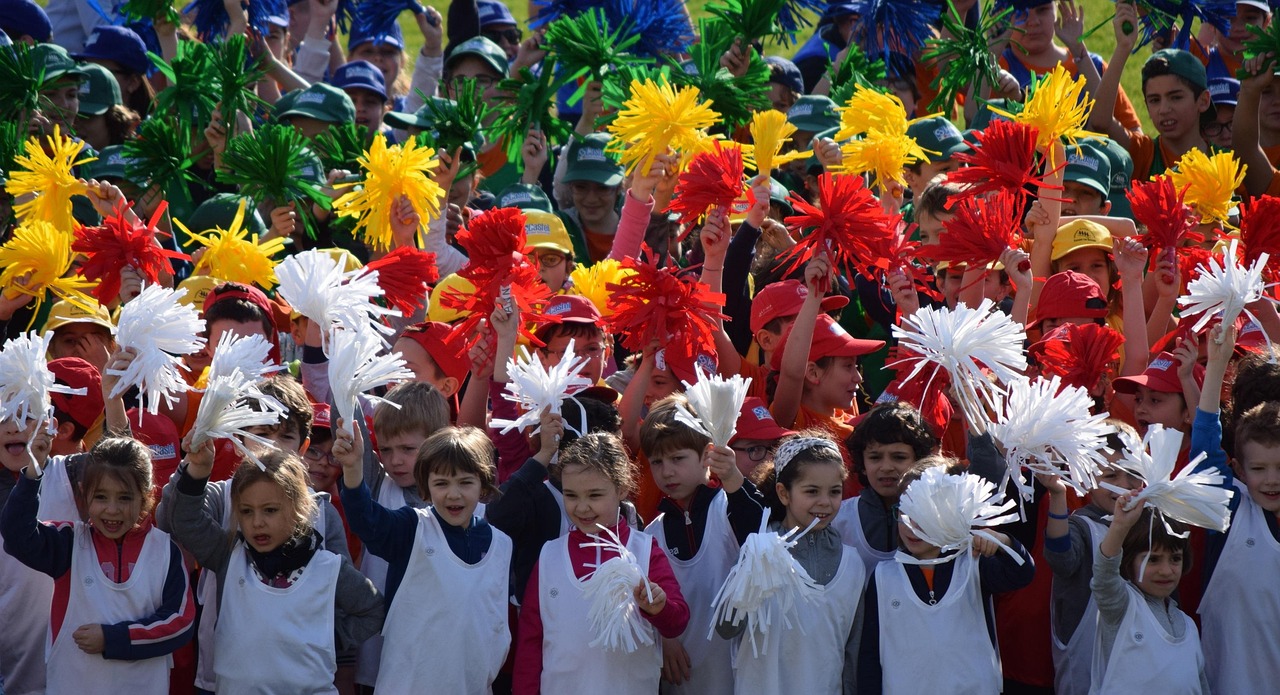 活力四溢的门球比赛盛宴,展现运动风采!