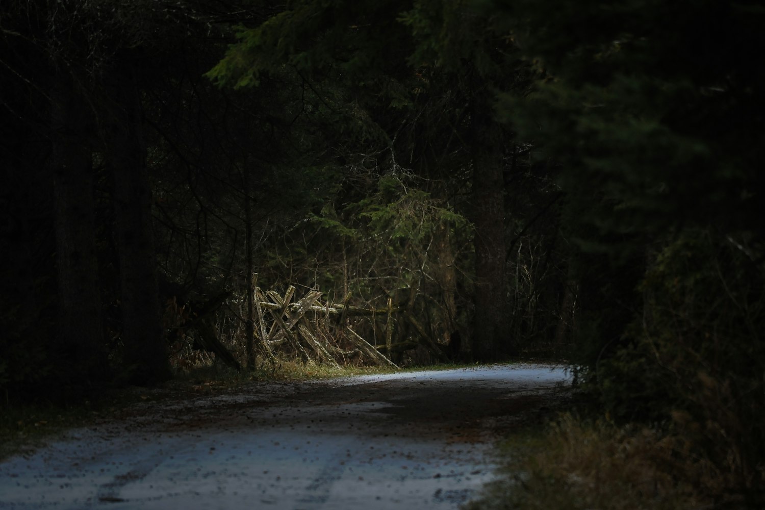 夜幕低垂,电影中的神秘魅力探索