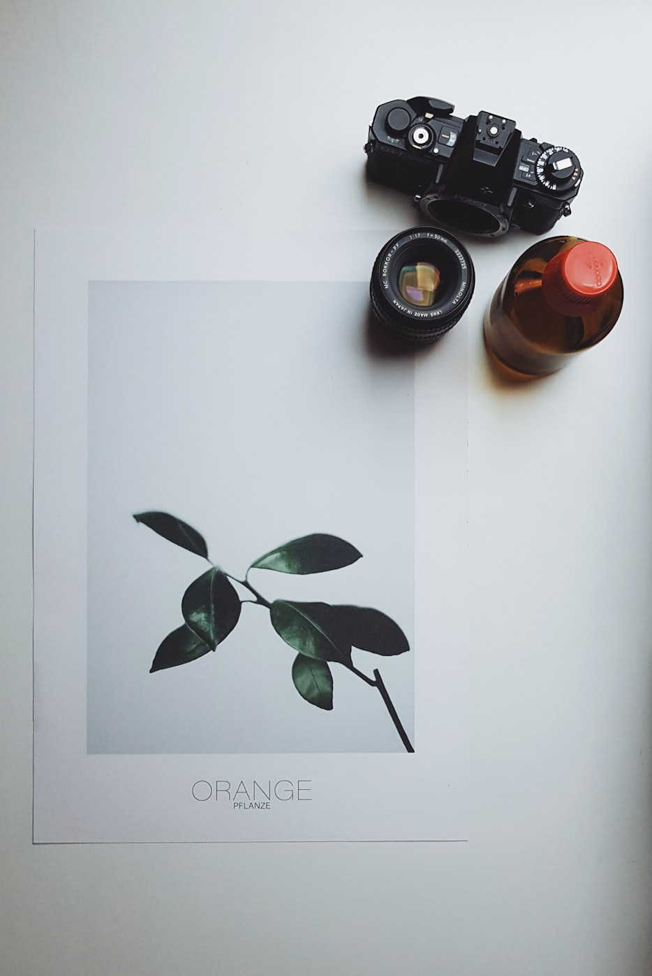 科技与艺术融合之美,最新动态图第27期揭晓探索新领域的美妙融合