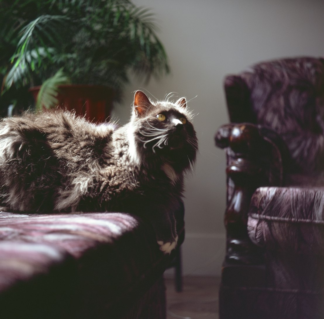 探寻情感的真谛,爱情电影中的故事与启示