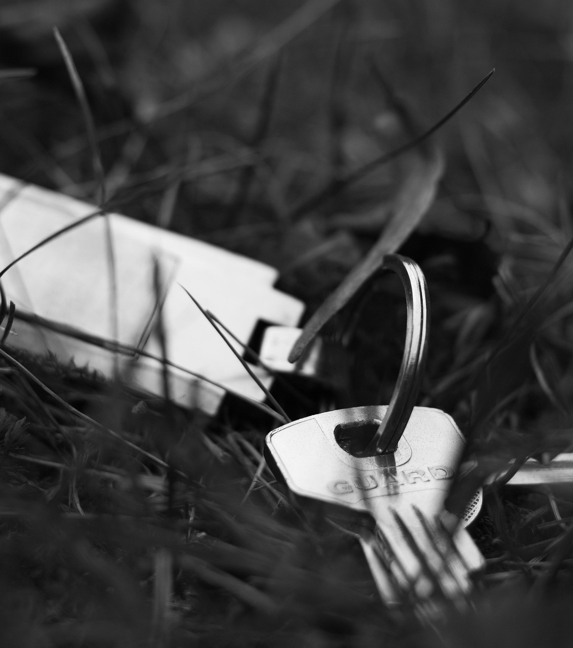 上虞天香南园最新动态,园林艺术与自然和谐之美的绽放