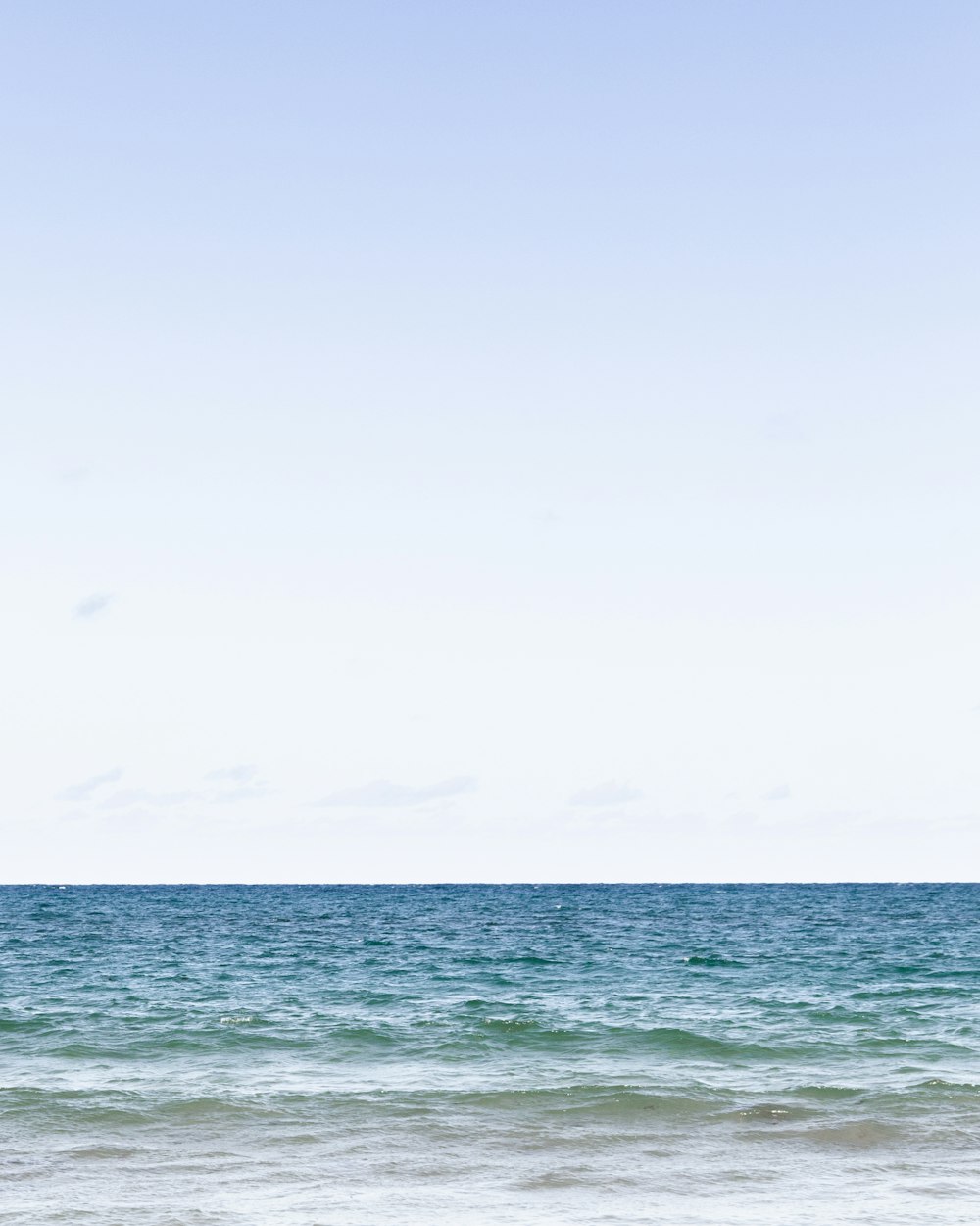 仙桃江滩公园最新动态更新