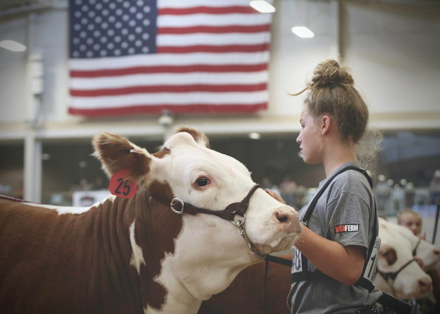 焦作城东公园焕发新活力,展现新面貌的最新动态