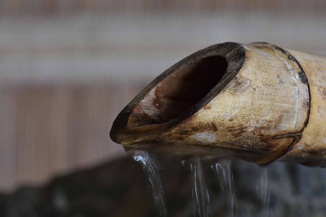 清远最新资讯概览,最新动态与资讯一网打尽