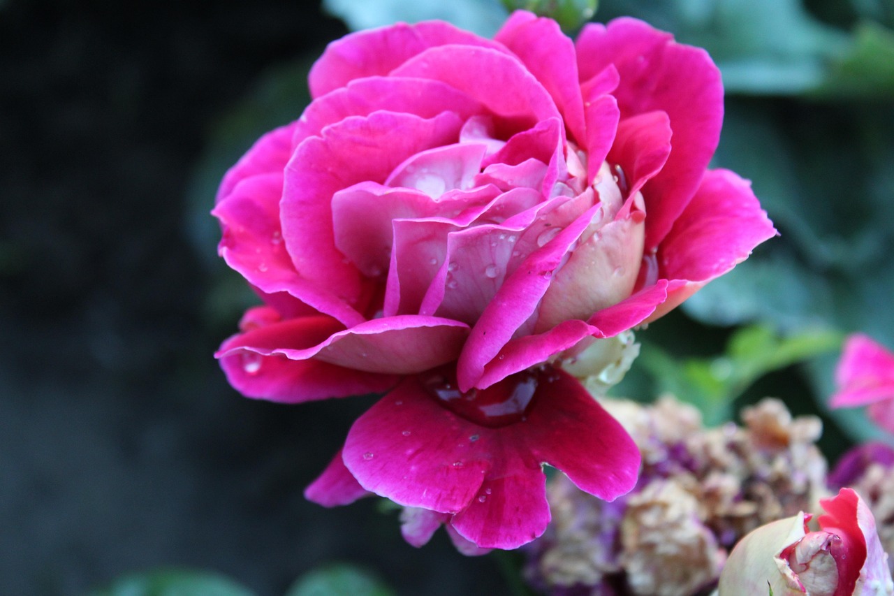 清远最新资讯概览,最新动态与资讯一网打尽