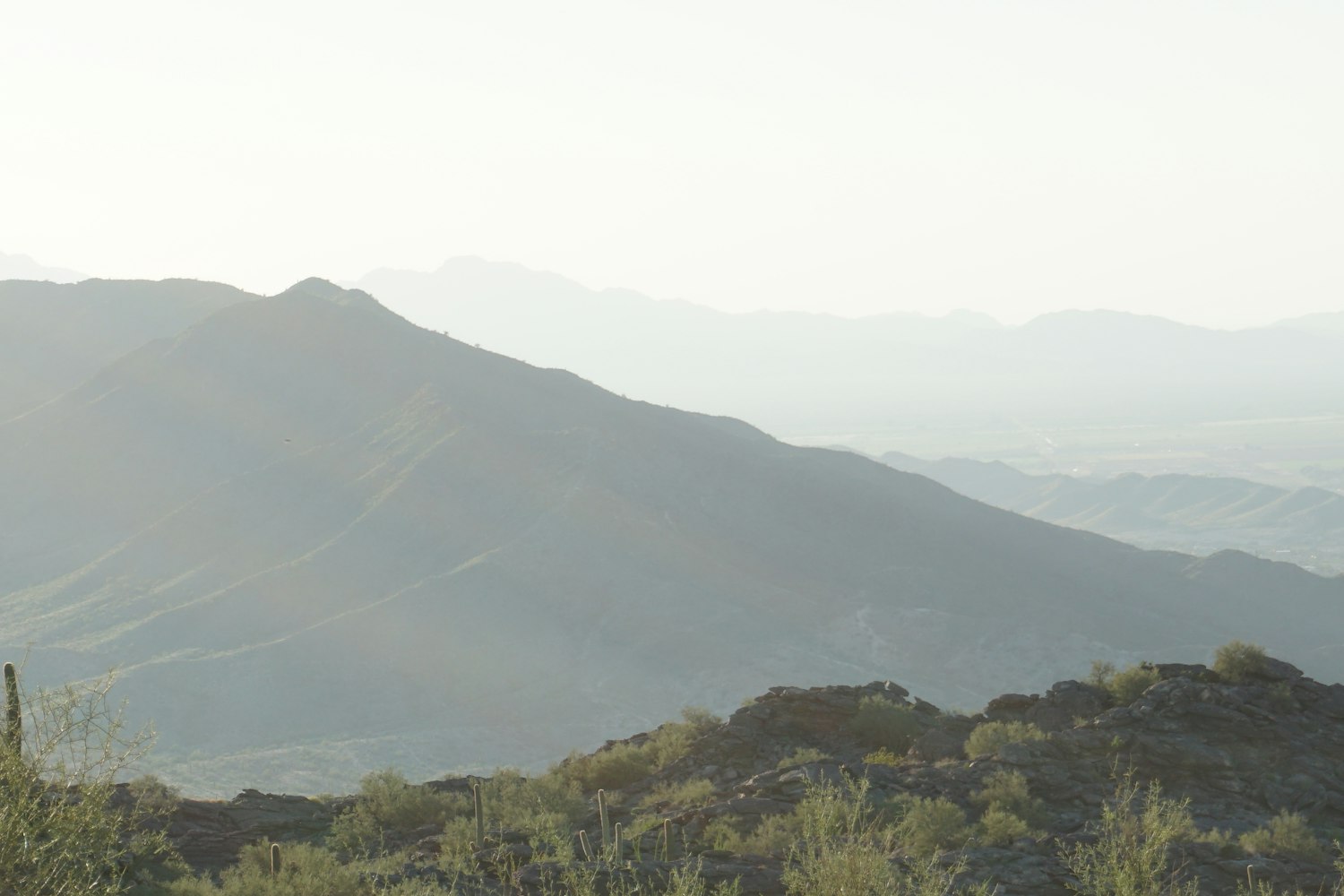 长航凤凰股票最新动态及分析摘要
