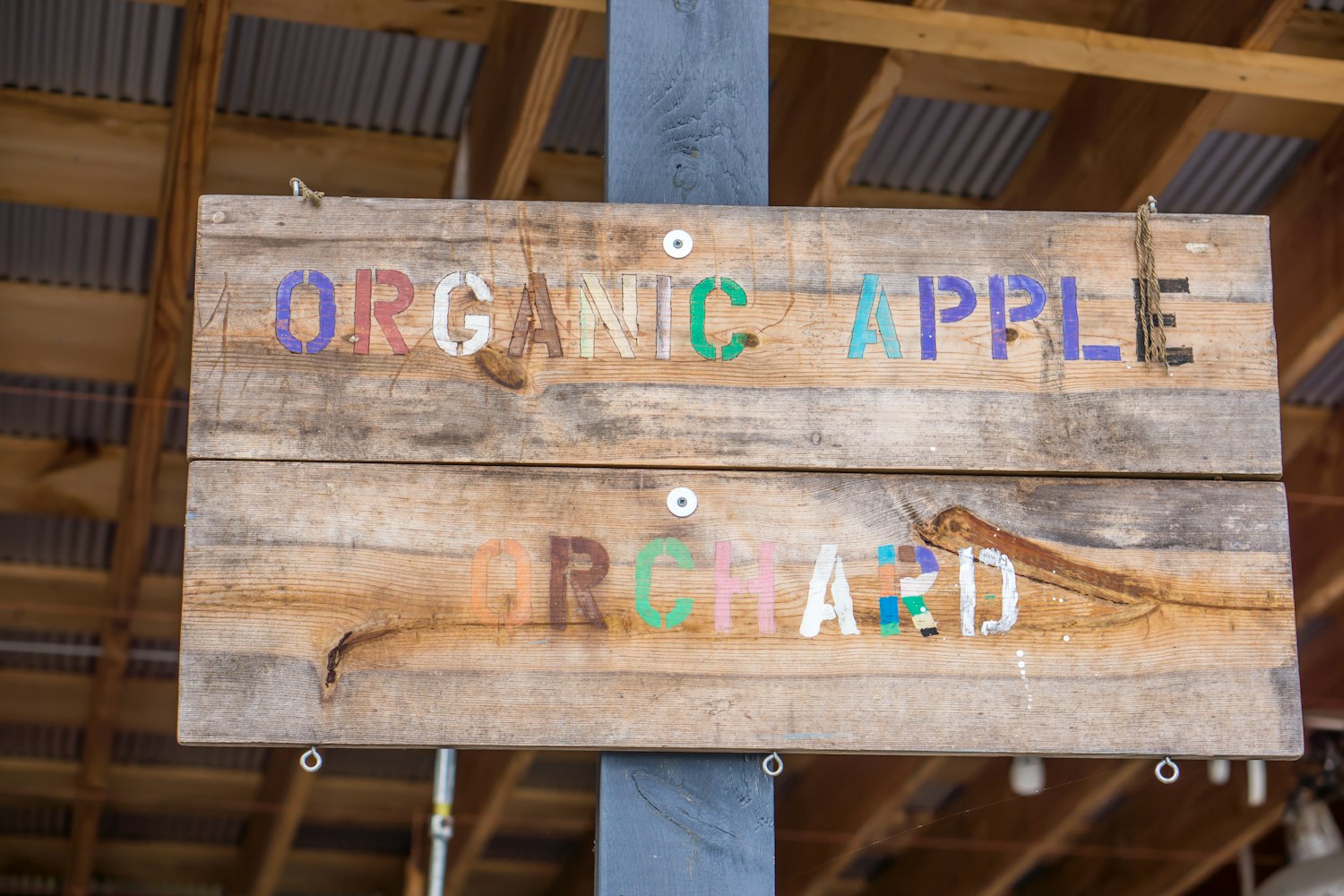 红星路南延线仁寿段最新进展报告,更新动态与细节揭秘