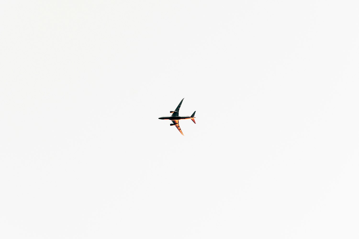 驻马店信合学府春天最新动态更新