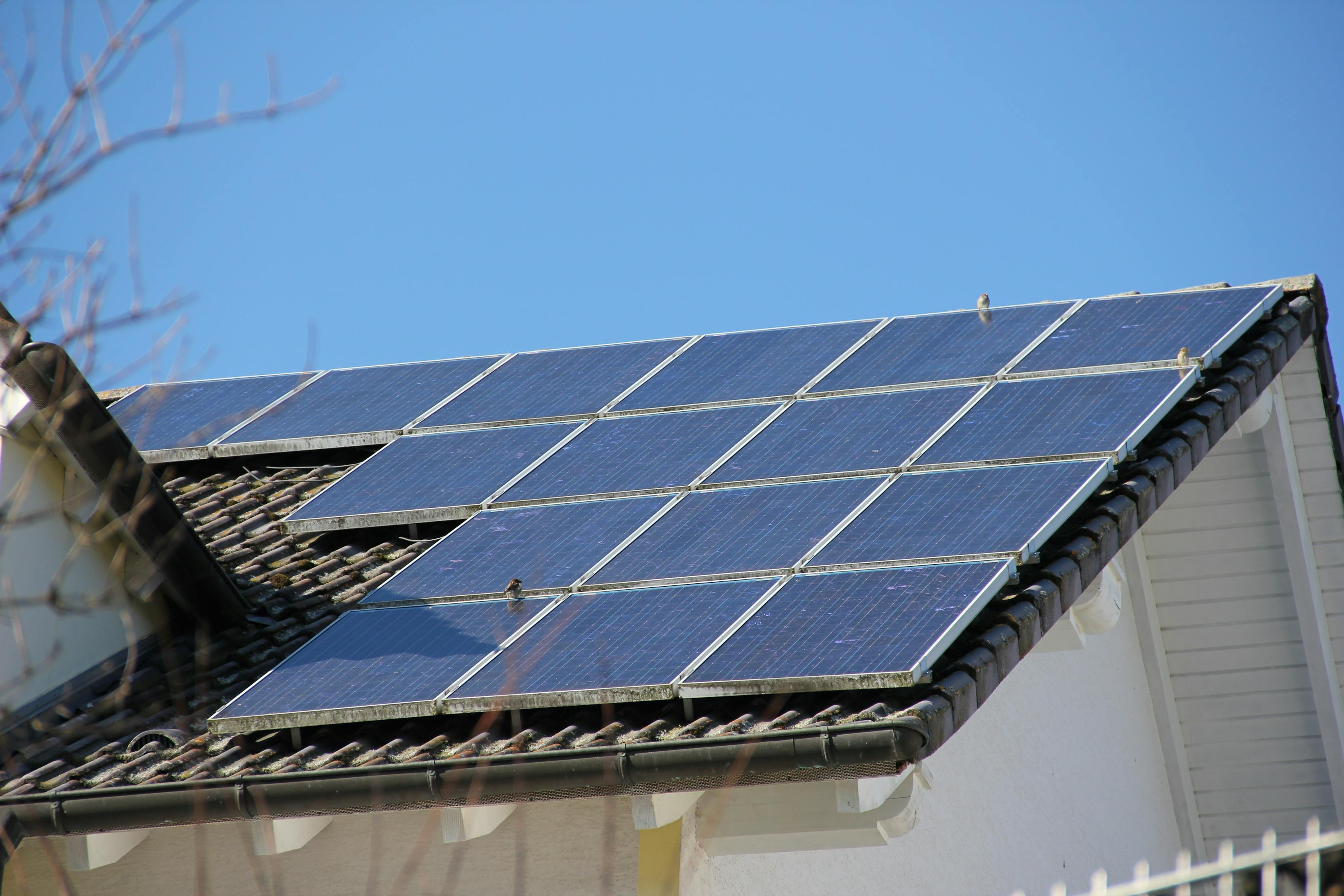 动漫男女动态图,展现二次元世界的生动魅力