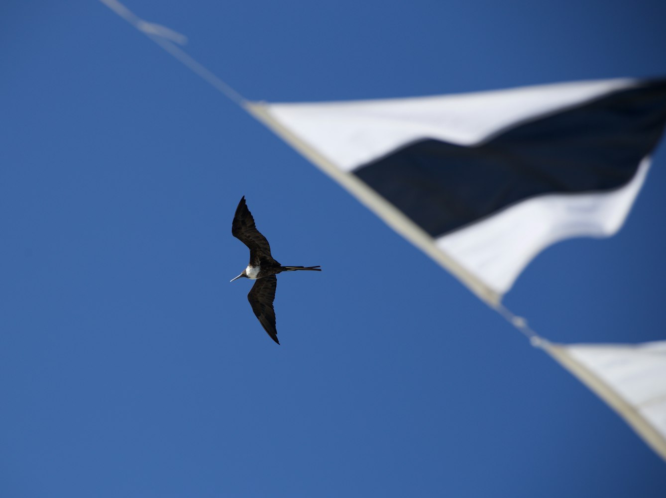 摄影新锐,当代摄影的新力量探索