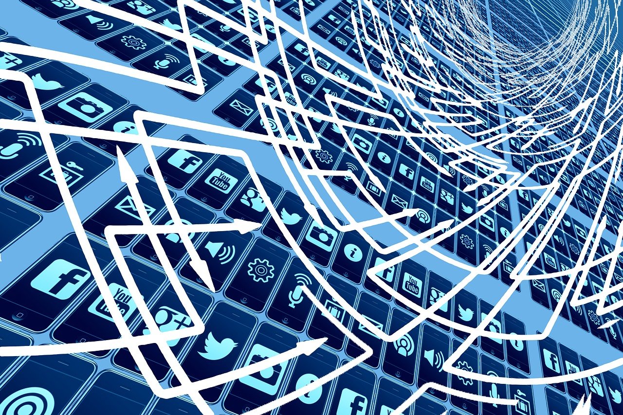 牛蛙市场行情深度分析,最新市场动态与趋势展望