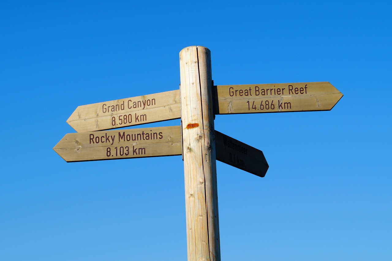 台风最新路径报告,动态分析、发展趋势预测与实时更新