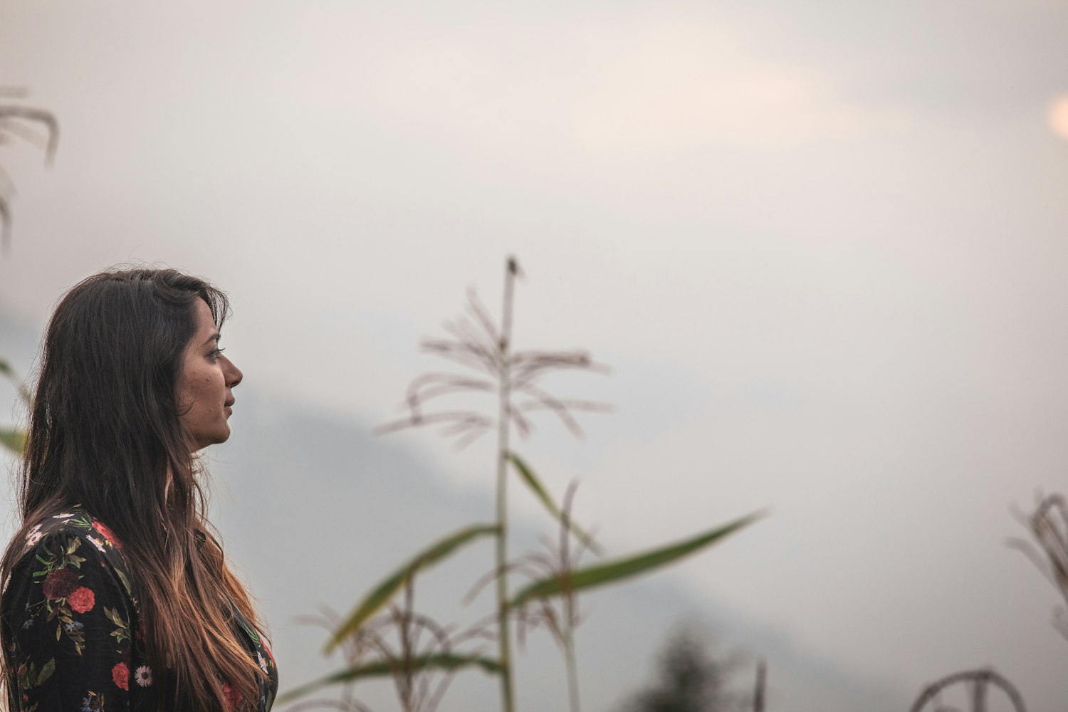 天津生态城最新发展动态及绿色发展展望