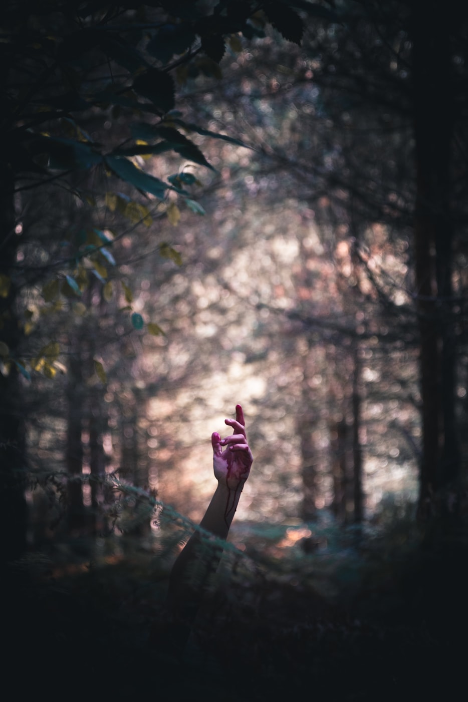 晴天演员表,一部充满生机与活力的影视佳作