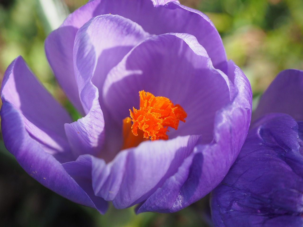 中江遂宁高速最新进展动态