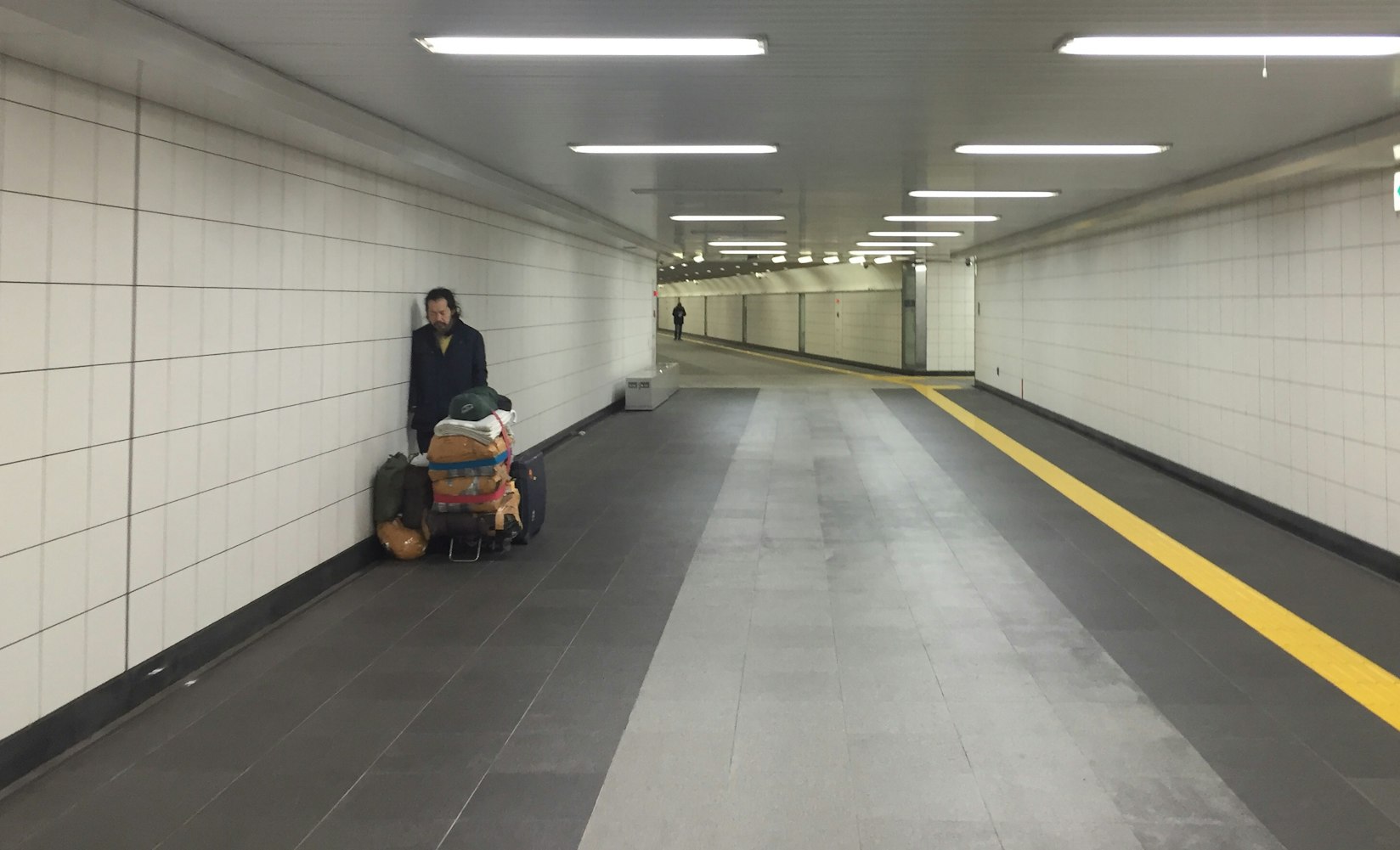 中天科技最新动态全面解析