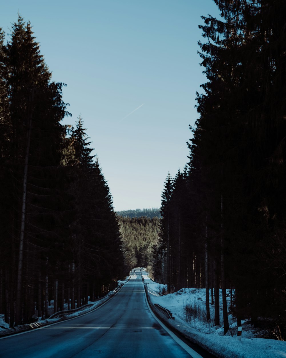 云南高铁迈向高速发展的新时代,最新动态揭秘