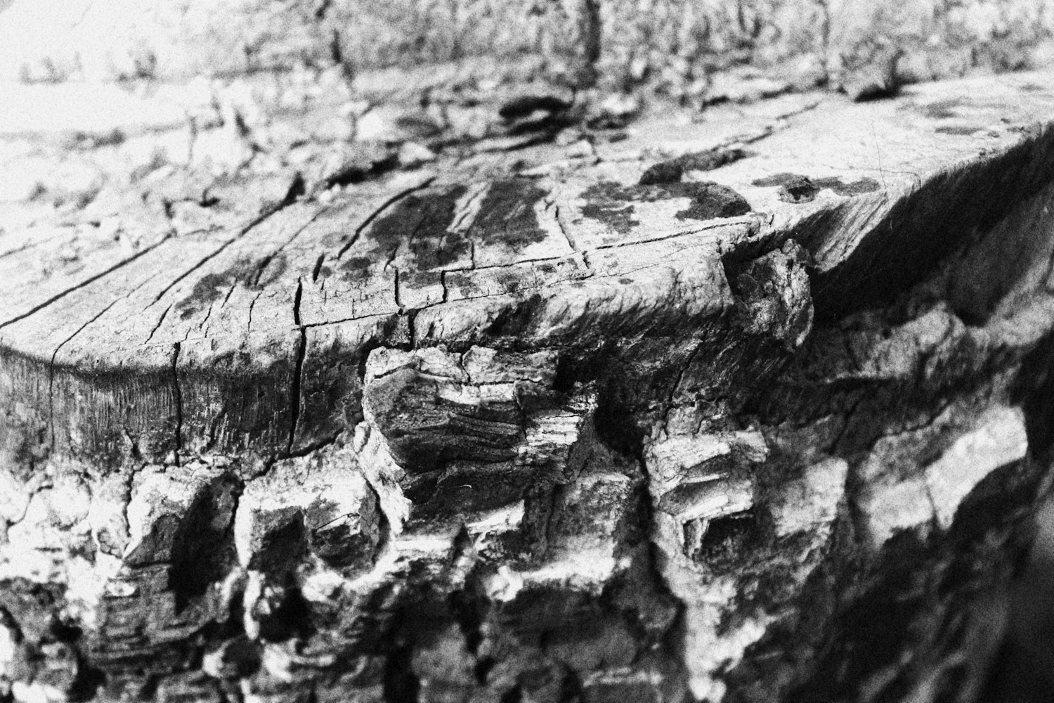 探寻电影艺术的起源与发展,电影诞生的年份揭秘