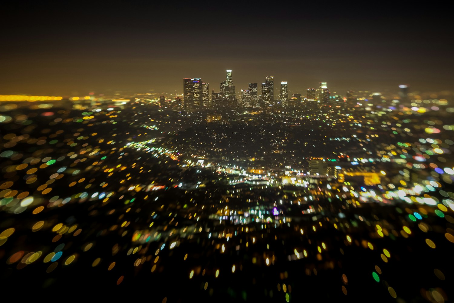 雪迪龙股票最新动态及分析摘要