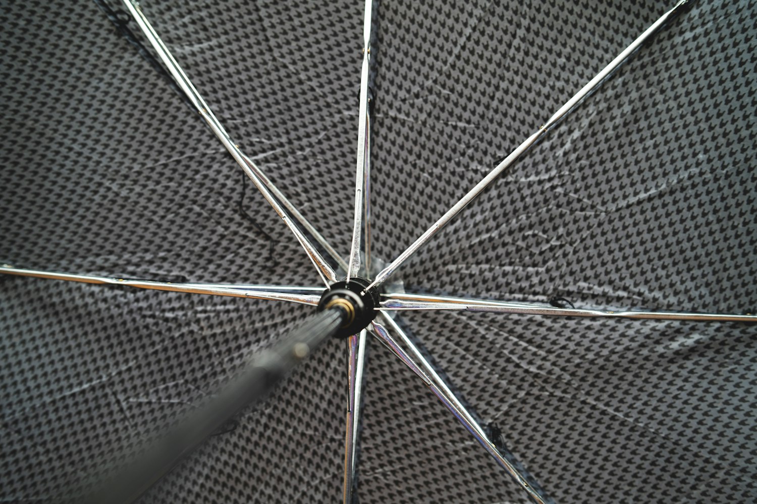 全球食品安全最新动态,挑战与应对策略的全方位观察