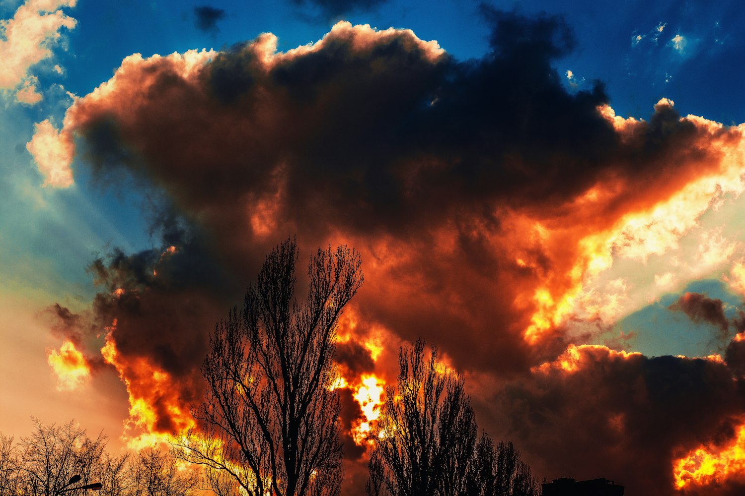 遮天新篇章,奇幻之旅正式开启