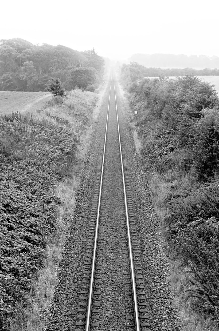 郑爽2017年星光之下的情感轨迹揭秘,最新感情动态曝光