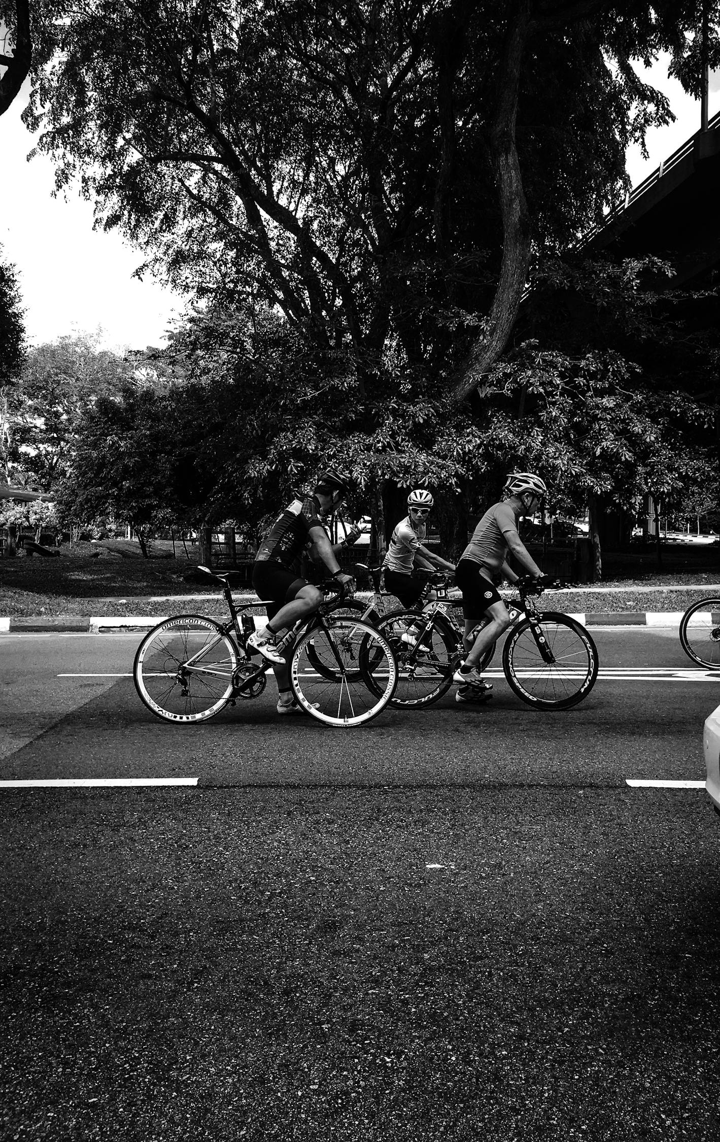 车辆跨区域落户新规重塑交通管理新局面