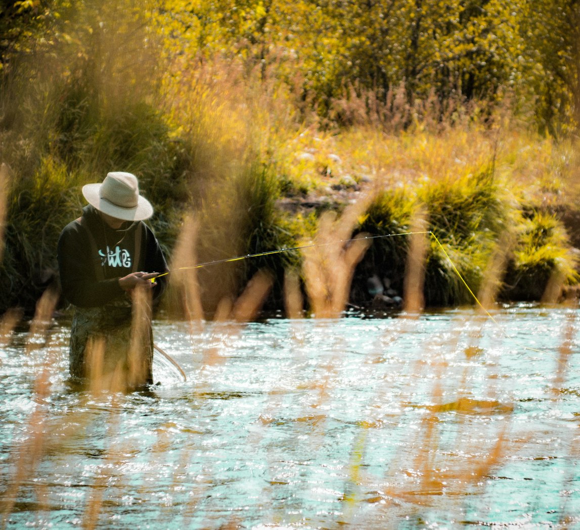 最新钓鱼技巧揭秘,掌握现代垂钓的艺术之道