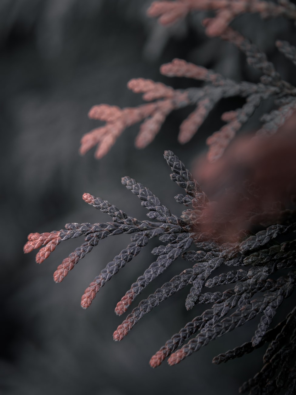 冷晏琛新作,探索艺术新境界的创意之旅