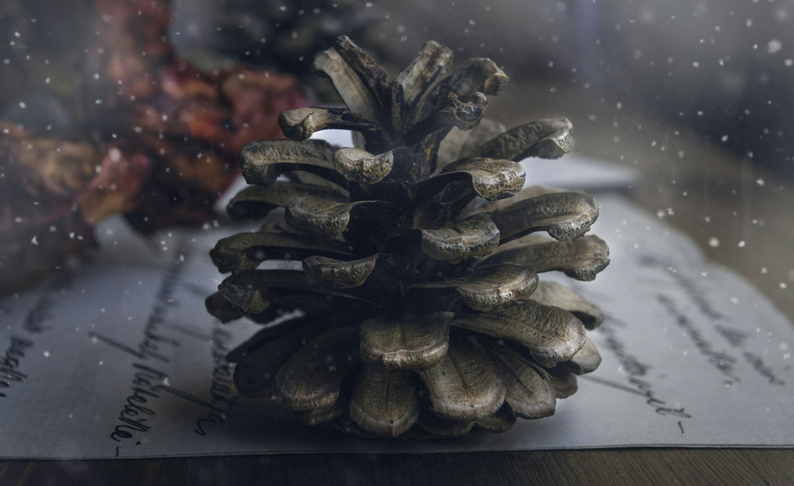 新鲜海参,海洋馈赠的珍稀之宝与健康的秘密武器