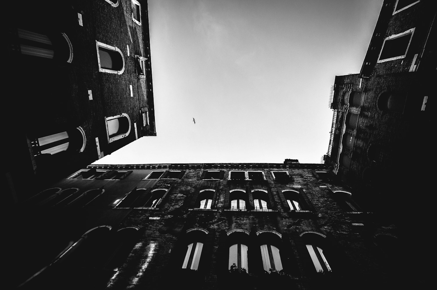 全球观众的新桥梁,免费直播比赛盛宴开启!