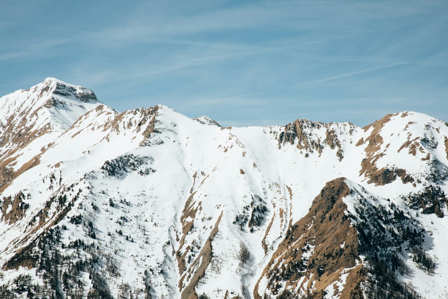 武汉蔬菜行情概览与动态分析