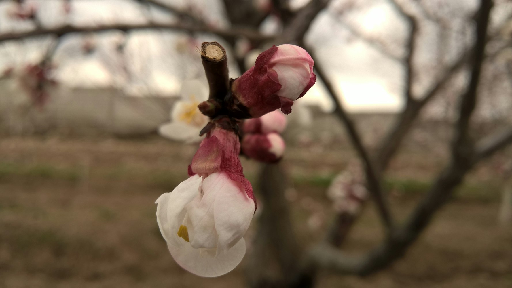 最新资讯11,引领科技动态与产业变革的先锋资讯