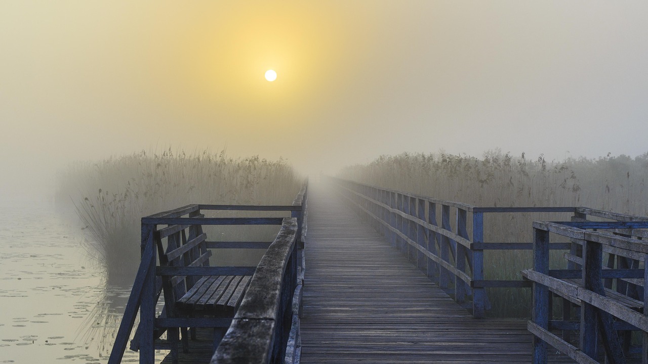 毛里湖国家湿地公园最新动态揭秘
