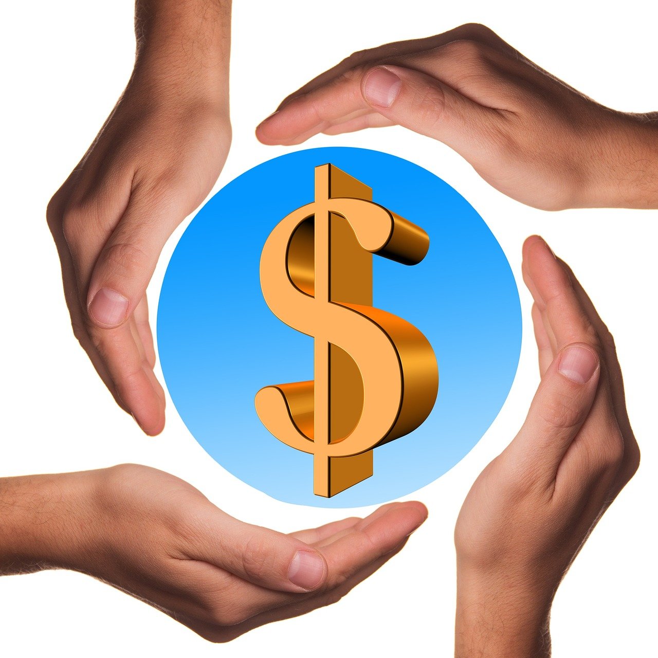 山东鸡蛋行情今日走势分析