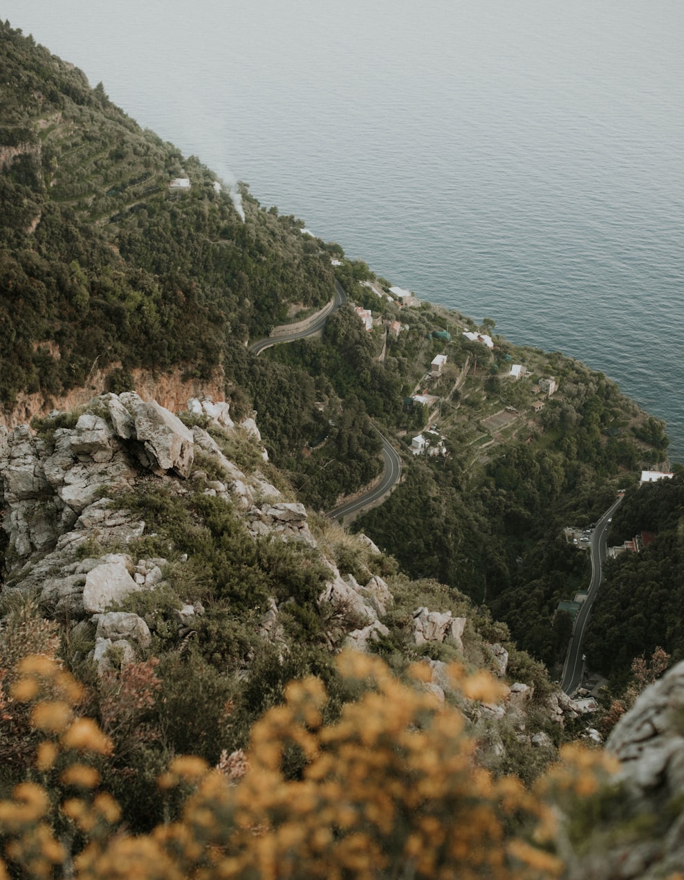 戴维斯最新动态,引领未来的新篇章开启