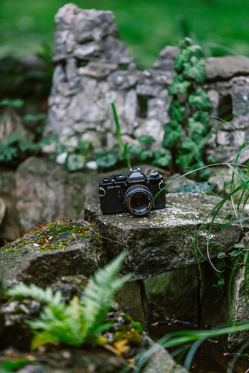 电影植物园,光影与绿色的完美交融之旅