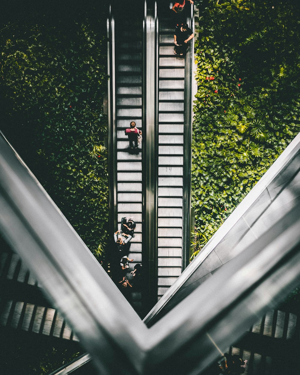 电梯最新升级革新垂直交通体验,电梯新功能提升用户体验