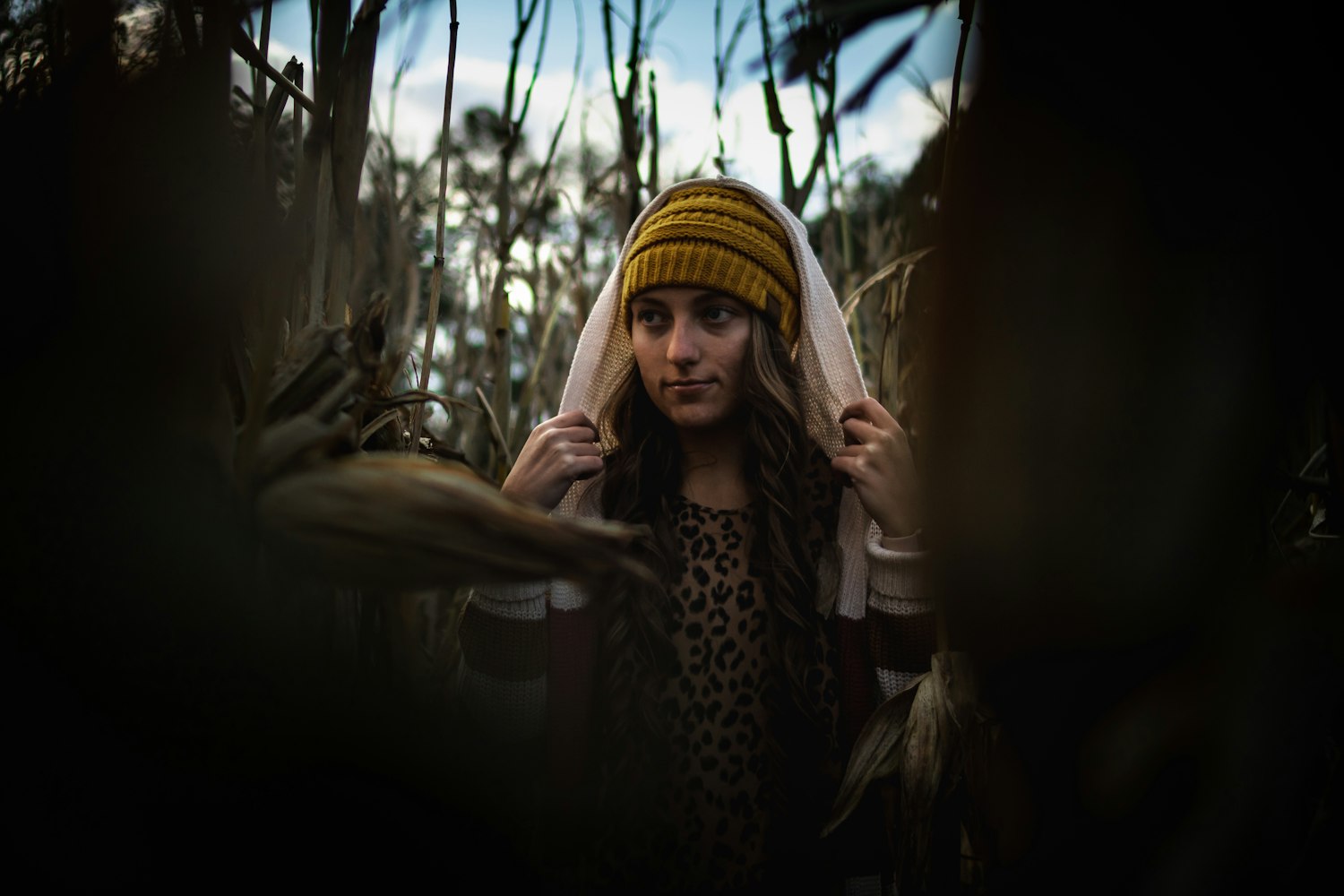 桃色电影的魅力与影响探索,成人影视的探讨