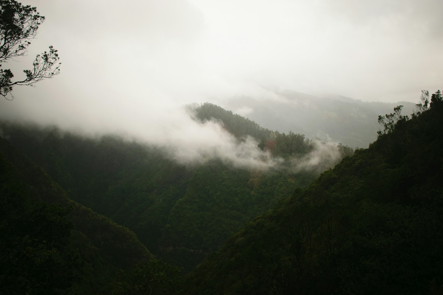 长兴岛,未来之星的蓬勃发展动态揭秘