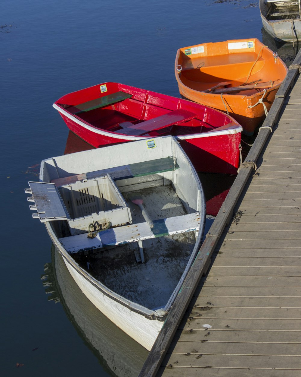 最新钓具引领垂钓时尚风潮