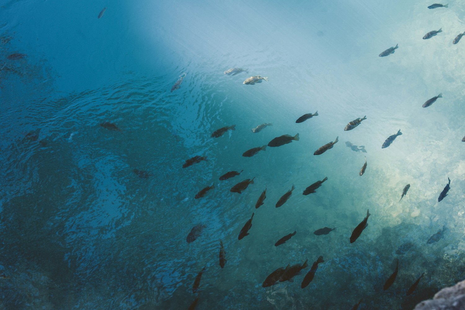 舟山明星璀璨闪耀,照亮海洋之城