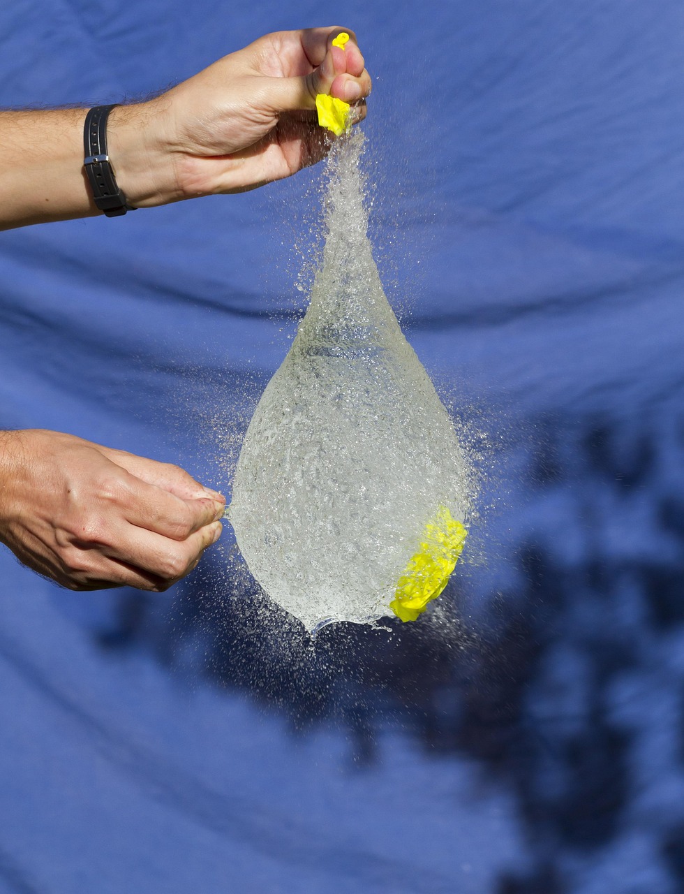 温氏破产动态深度解析,影响与展望