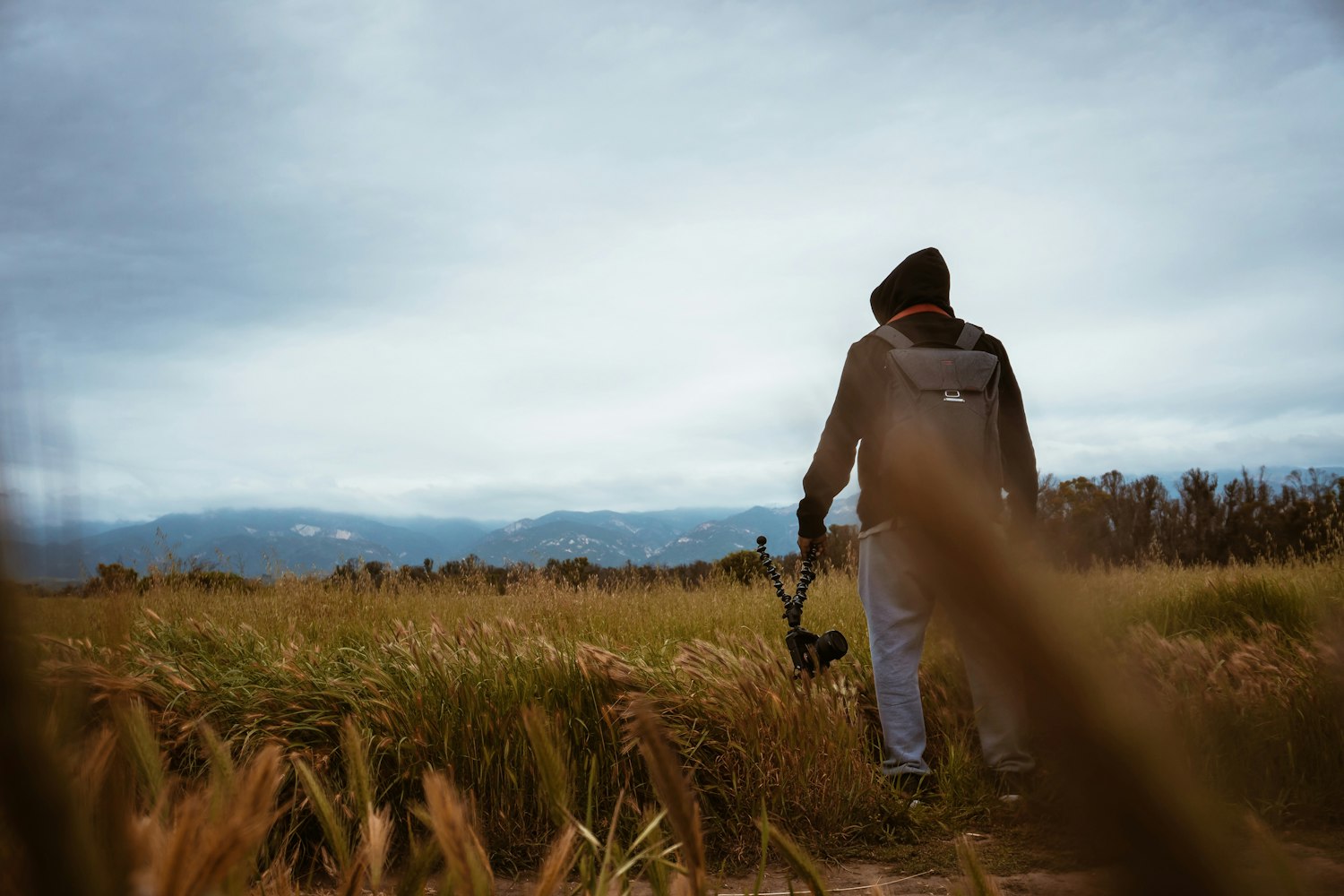 苦情戏女演员的情感传递与艺术探索