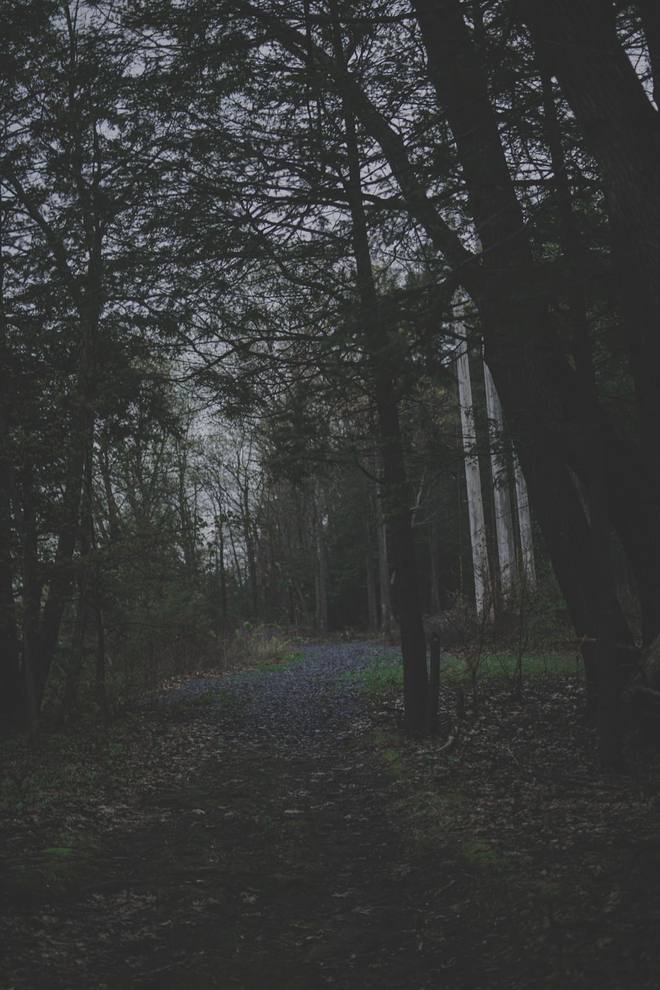 小森林演员表,探寻自然与人性的魅力之旅