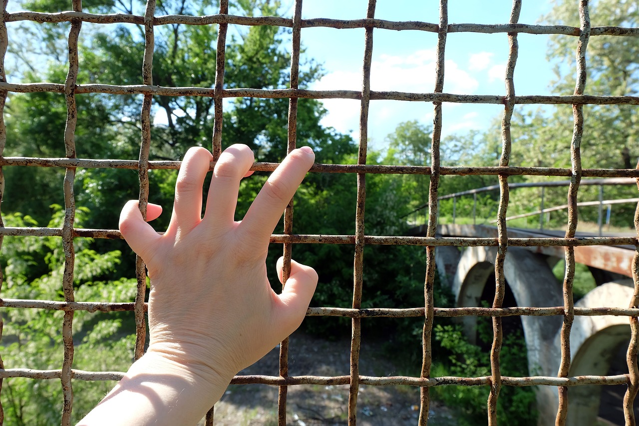 大邑房价动态解析,市场走势、影响因素与未来展望