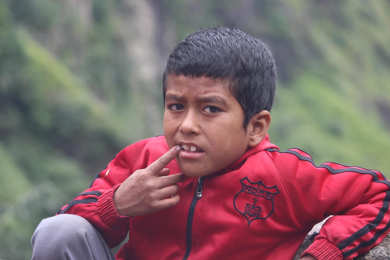 两当高速最新动态,迈向未来的速度与激情之路