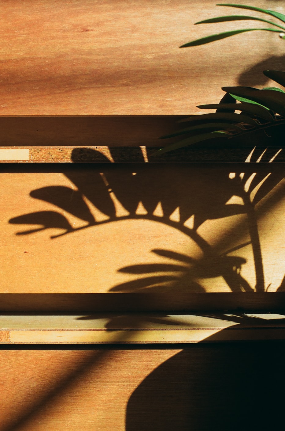 韩国电影恶魔,深度解读与多维视角探讨