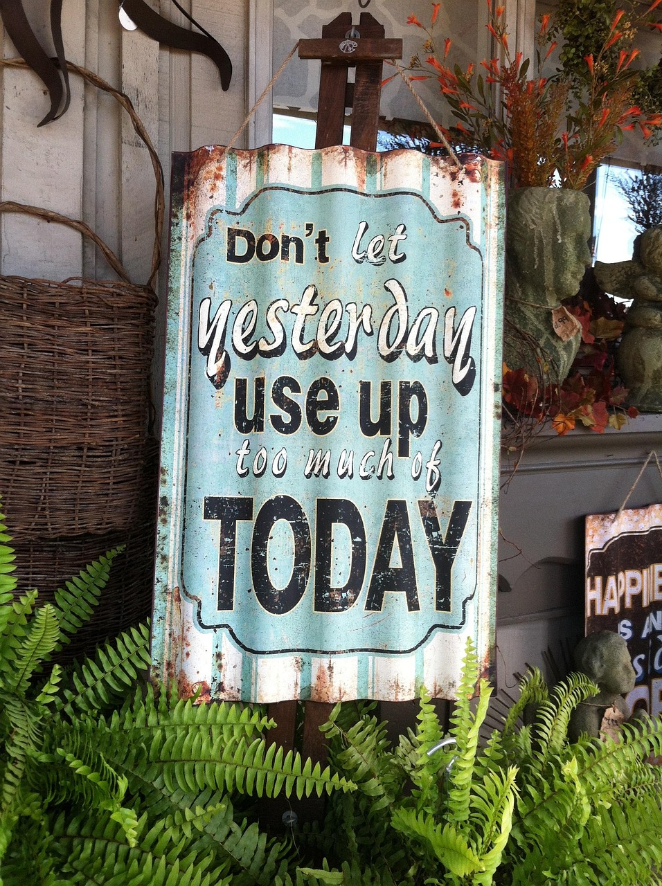 后巷的猫街少女