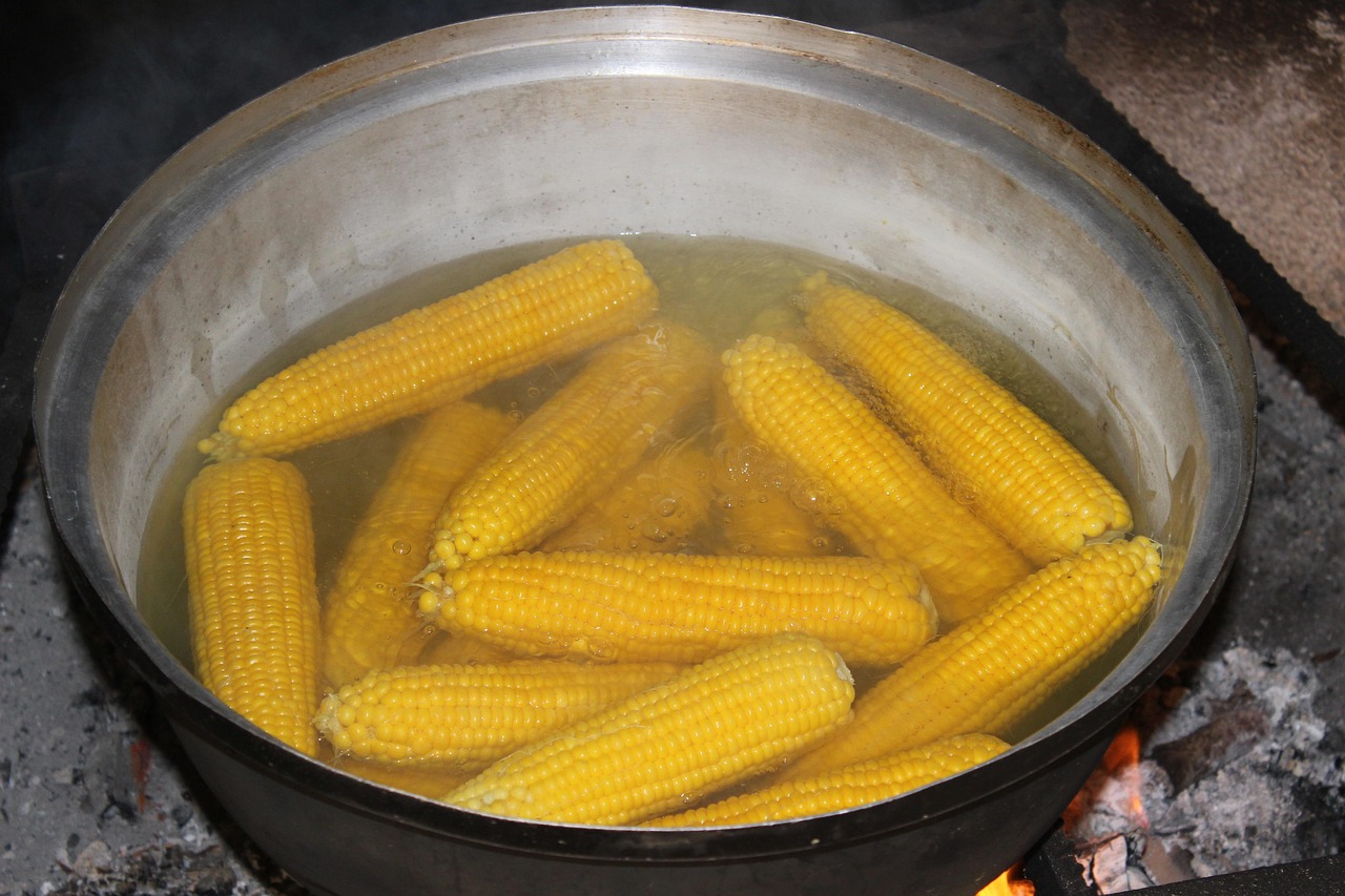 中国超级细菌最新动态,挑战及应对策略更新报道